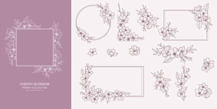 Cherry Blossom Line Art. Trendy floral branches and flowers. Botanical Line Art Sakura Collection. Hand drawn line art cherry blossom flowers. Luxury Line Floral Art. Cherry Blossom Outline