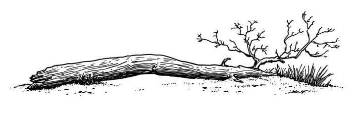 thick broken branch lying on the ground doodle sketch vector illustration