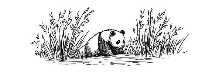 panda in grass hand drawn doodle black vector sketch © Kaz