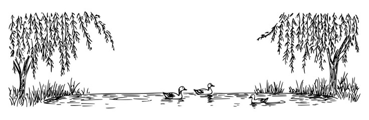 lake with ducks and willow trees hand drawn doodle black vector sketch © Kaz