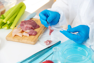 laboratory testing of different food products. Selective focus.
