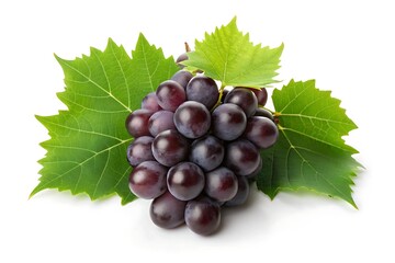 Fototapeta premium Bunch of black grapes with green leaves isolated on white background, fresh and ripe fruit perfect for snacking, healthy and nutritious grapes.
