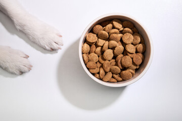 A Jack Russell Terrier paws are placed beside a food bowl on a white table, viewed from above.