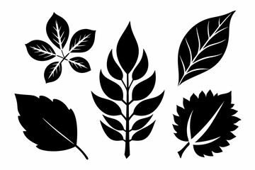 leaves line art silhouette vector illustration