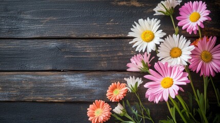Obraz premium Daisy Flowers on Dark Wood Background for Floral Design and Decor