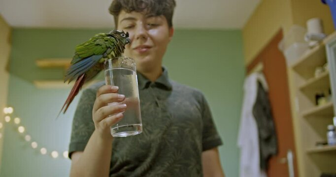 Young person holds glass of water as pet parrot perches on the rim and drinks. The parrot splashes and plays in the water.