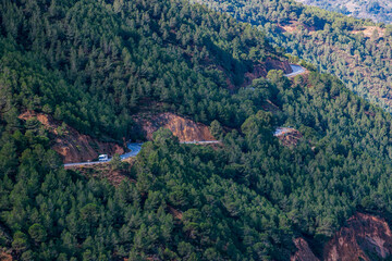 Motorhome driving on a mountain road surrounded by a pine forest.