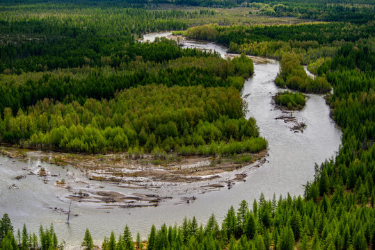 A top view of the river valley and forest with green larch trees creates a beautiful scene of northern nature. Travel to Siberia and the Russian Far East, Magadan Region, Russia.