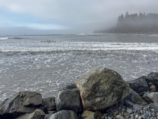 Foggy day in the Pacific Northwest