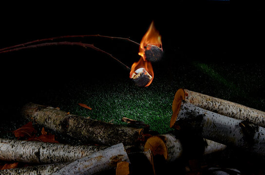 marshmallows camp fire night time wood logs