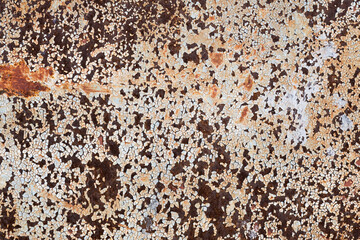 Texture of rusty metal. Background is made rusty metal with peeling white paint.