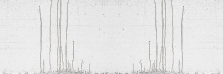 Old wall panorama texture cement dirty gray with black  background abstract grey and silver color design are light with white background.