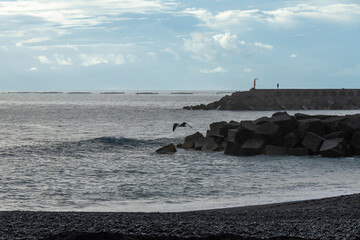 La Palma island Canary archipelago Spain El Puerto in Tazacorte 