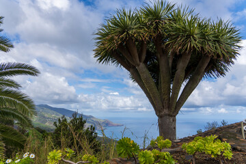 La Palma island in Canary archipelago Atlantic island in Spain Panorama from La Tosca viewpoint in Barlovento © ANADEL