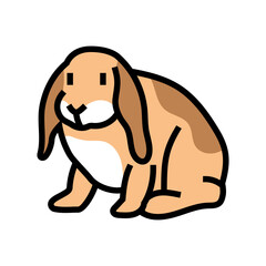 rabbit pet home color icon vector illustration