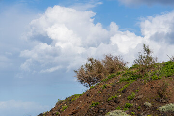 La Palma island Canary archipelago Spain