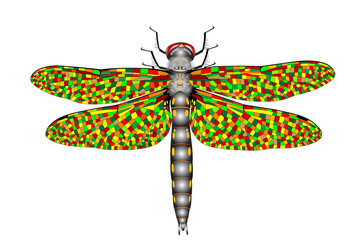 Adult Spiny Baskettail Dragonfly (Epitheca spinigera), artistic illustration, in bright color tones, jpg format.