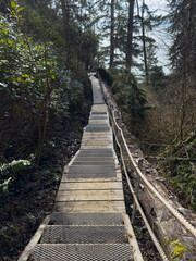 Lots of stairs on the hiking trail to the ocean