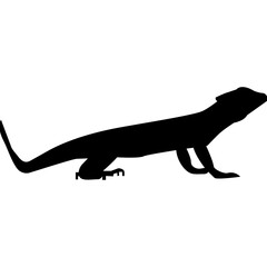 Lizard Icon