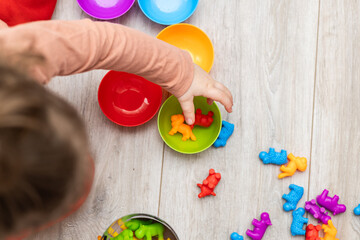Children's color sorter for the development of fine motor skills and logic.Early child development....