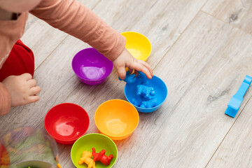 Children's color sorter for the development of fine motor skills and logic.Early child development. Colored animal figures. Sorter consisting of plates, figures and tongs.Children's games on the floor