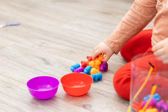 Children's color sorter for the development of fine motor skills and logic.Early child development. Colored animal figures. Sorter consisting of plates, figures and tongs.Children's games on the floor
