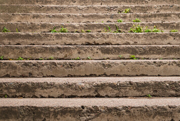 old stairs with crumbling steps overgrown with green plants © michal812