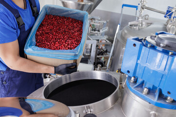 Worker pouring fresh red berries into industrial food processing machine, factory production of...