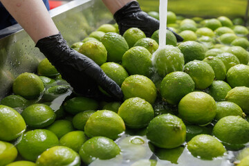 Industrial washing of fresh limes with water, hands in black gloves handling citrus fruits in a...