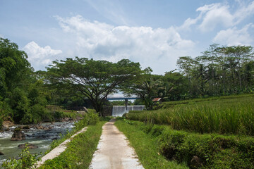 View of the road and rice fields around the dam.Ecology and environment concept.For graphic design,3D rendering or banner background