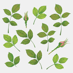 seamless pattern with green leaves