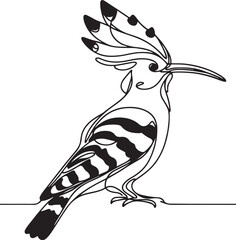 Hoopoe Bird Vector Art – Line Drawing Illustration © mistah
