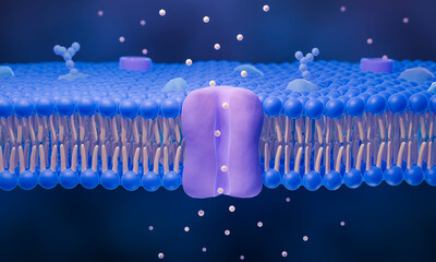  Ion channel in cell membrane