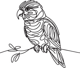 Lorikeet Line Drawing Vector Art. Elegant Bird Illustration