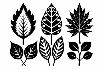 decorative leaf set line art silhouette vector illustration