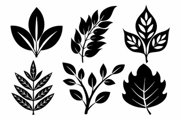 decorative leaf set line art silhouette vector illustration