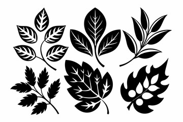 decorative leaf set line art silhouette vector illustration