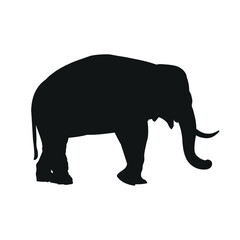 Silhouette of elephant standing. Side view. Vector illustration isolated on the white background