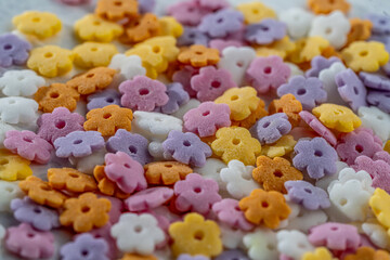 pile sprinkle decor banner. colorful round flower head shape, close up, macro, selective focus