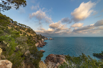 A beautiful view of the ocean with a few trees in the background