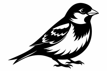 sparrow line art silhouette vector illustration
