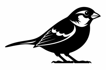 vector illustration of a bird