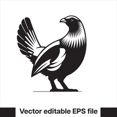 vector Western Capercaillie Game Bird