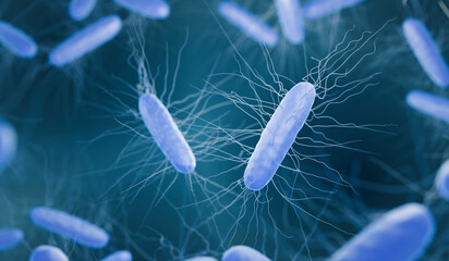 Clostridium difficle bacteria