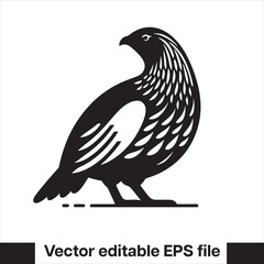 vector Western Capercaillie Game Bird