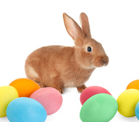 Cute fluffy rabbit and colorful Easter eggs isolated on white