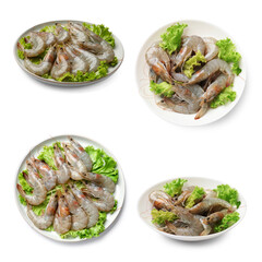 Fresh raw shrimps isolated on white, set. Top and side view