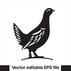 vector Western Capercaillie Game Bird