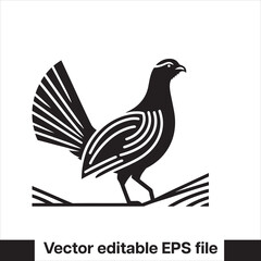 vector Western Capercaillie Game Bird