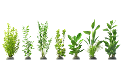 Various types of artificial plants arranged on pebbles for home and office decoration